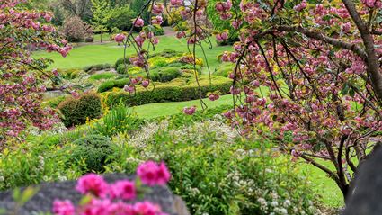 Japanese Garden - Cowra 